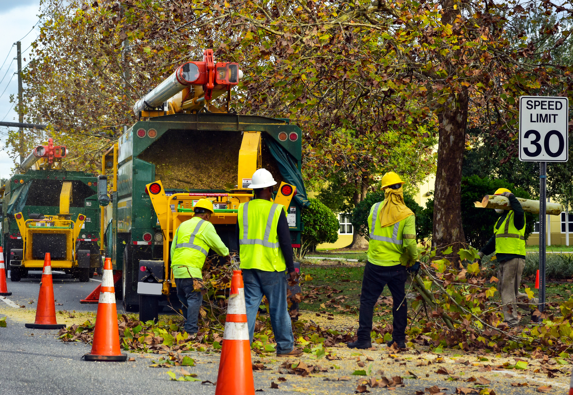 Tree Services | Ott’s Tree Service